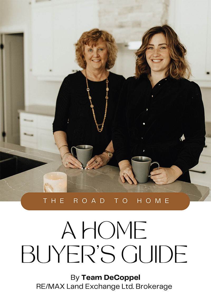 Cover of Buyer's Guide from Team Decoppel